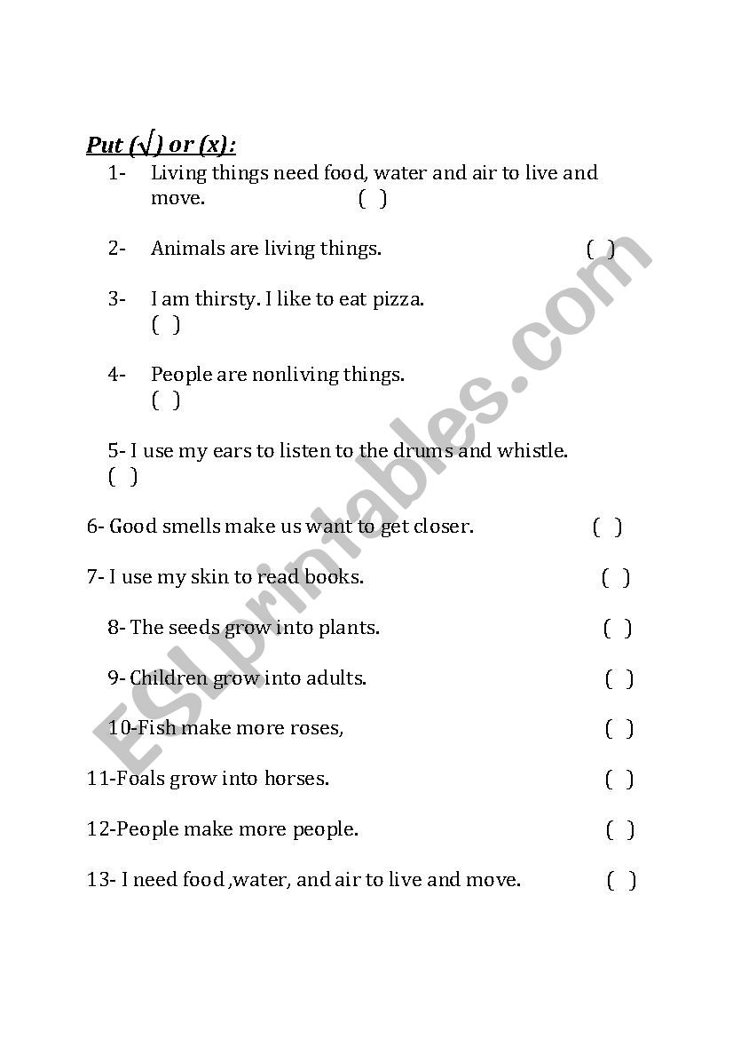 science kindergarten worksheet