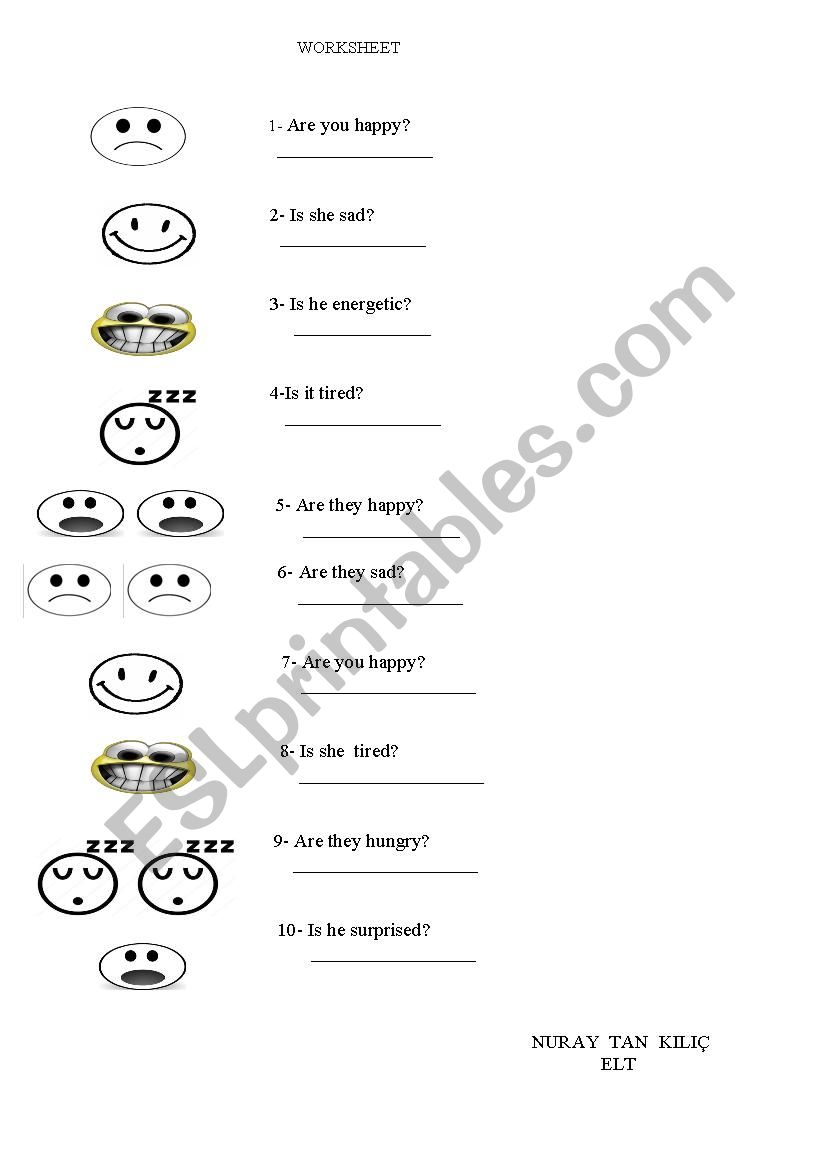 yes&no questions worksheet