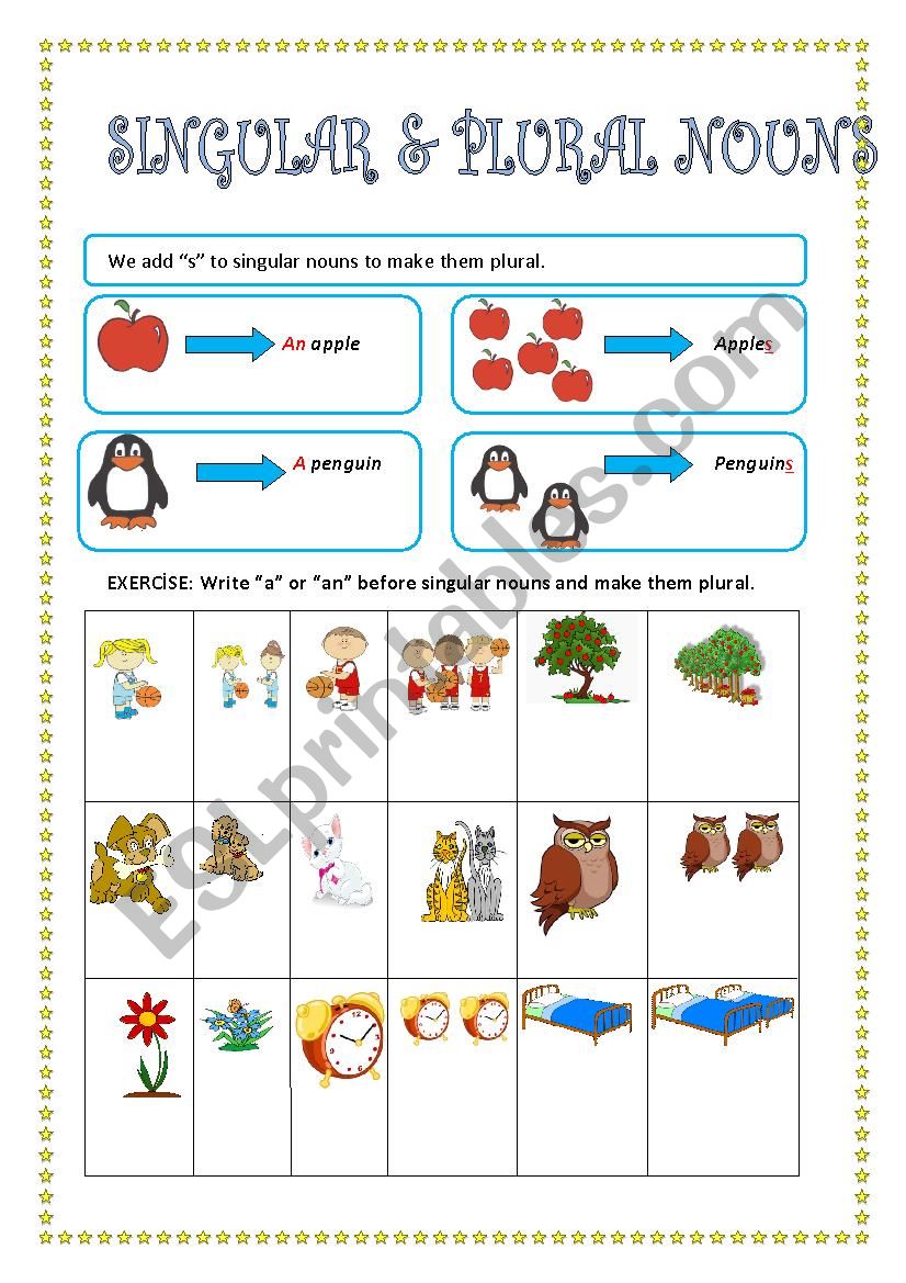 SINGULAR AND PLURAL NOUNS- INDEFINITE ARTICLE