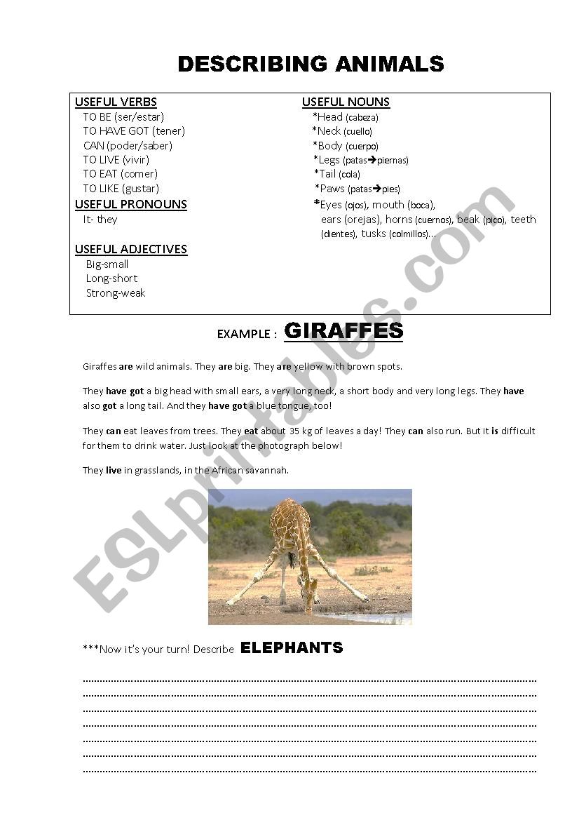 DESCRIBING ANIMALS worksheet