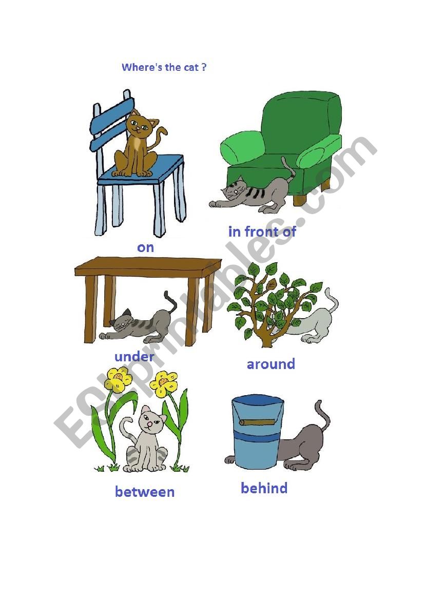 Wheres  the cat  ? worksheet