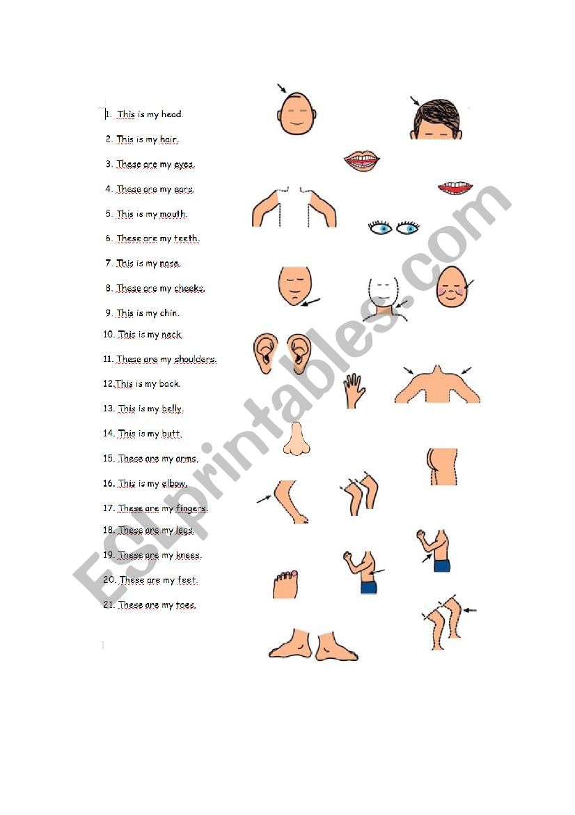 Body parts matching worksheet