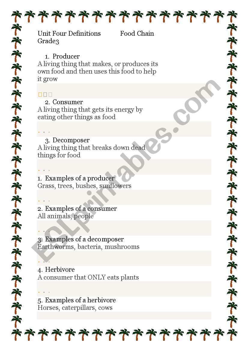 Food Chain  worksheet