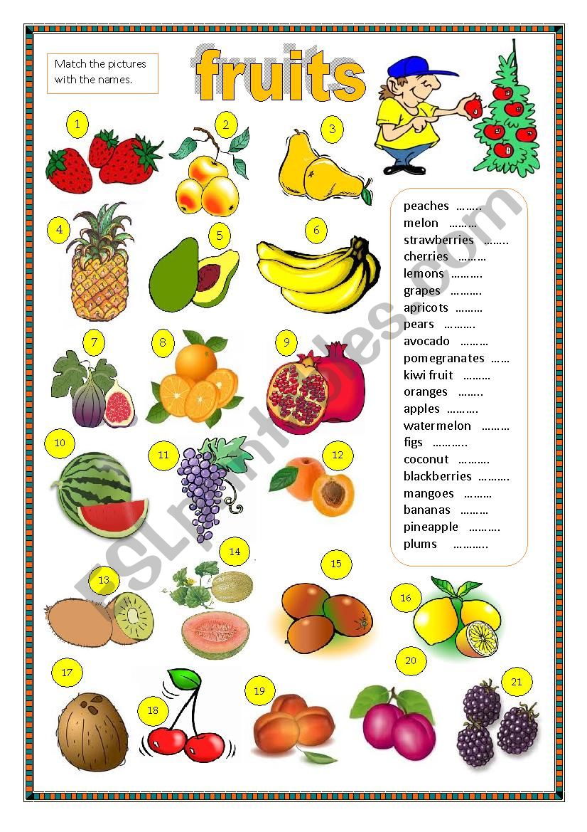 Fruit worksheet