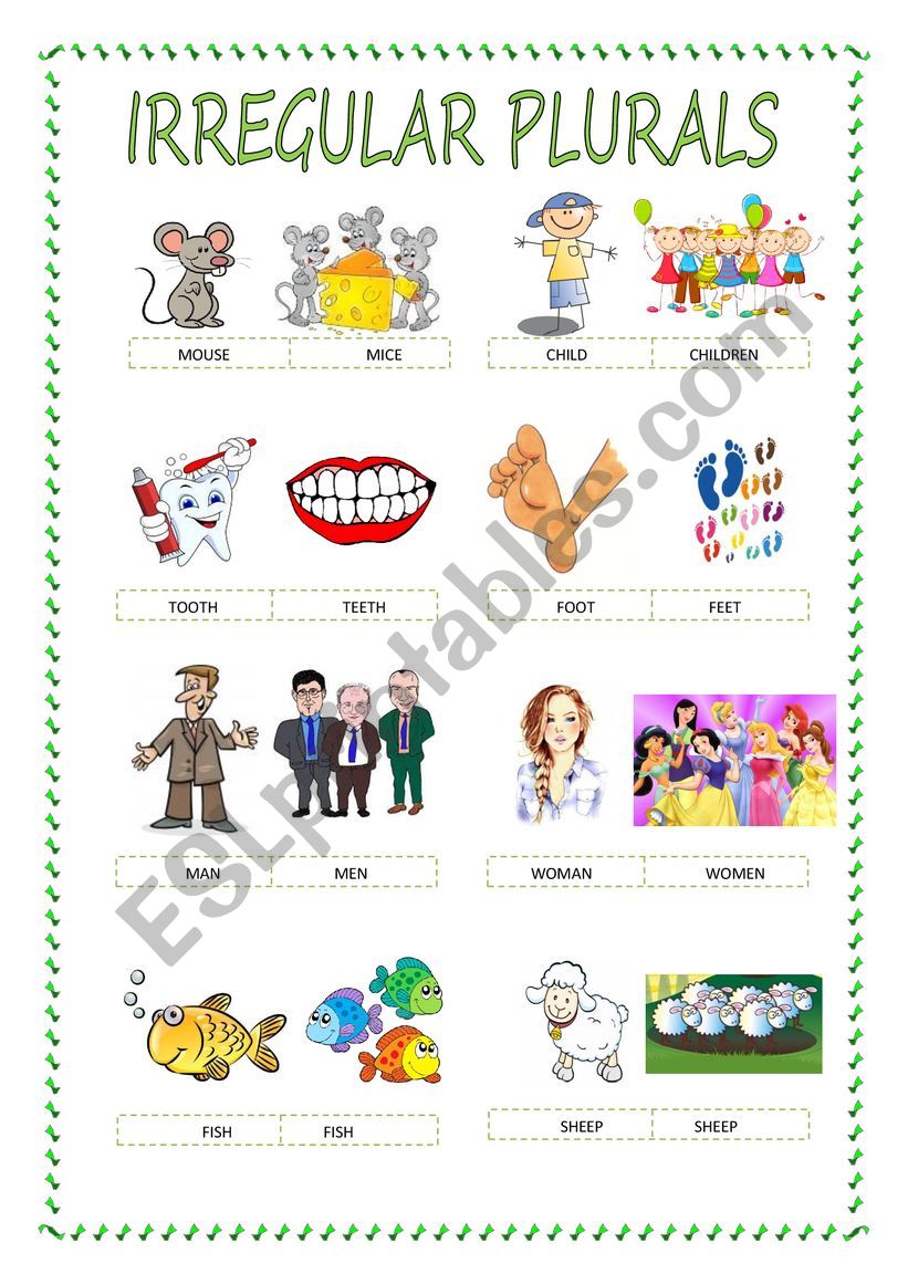 irregular plurals (part 1) worksheet