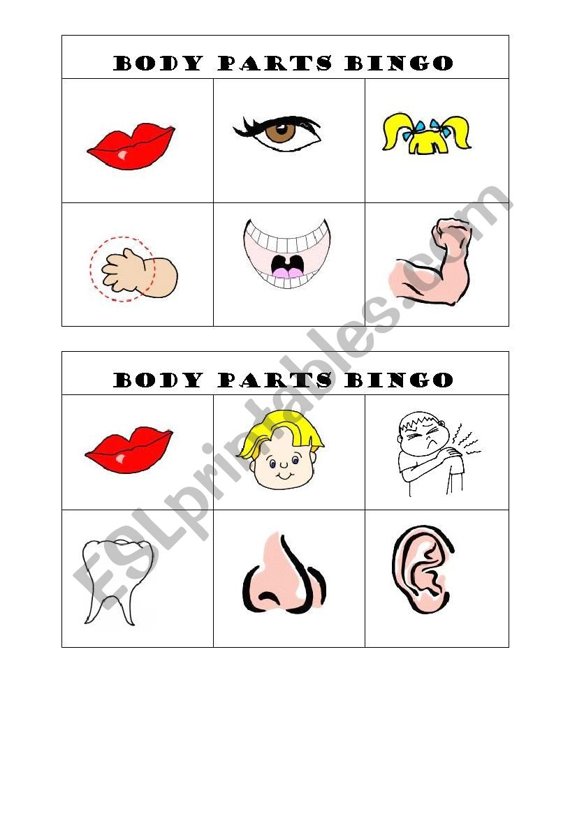 body parts bingo worksheet