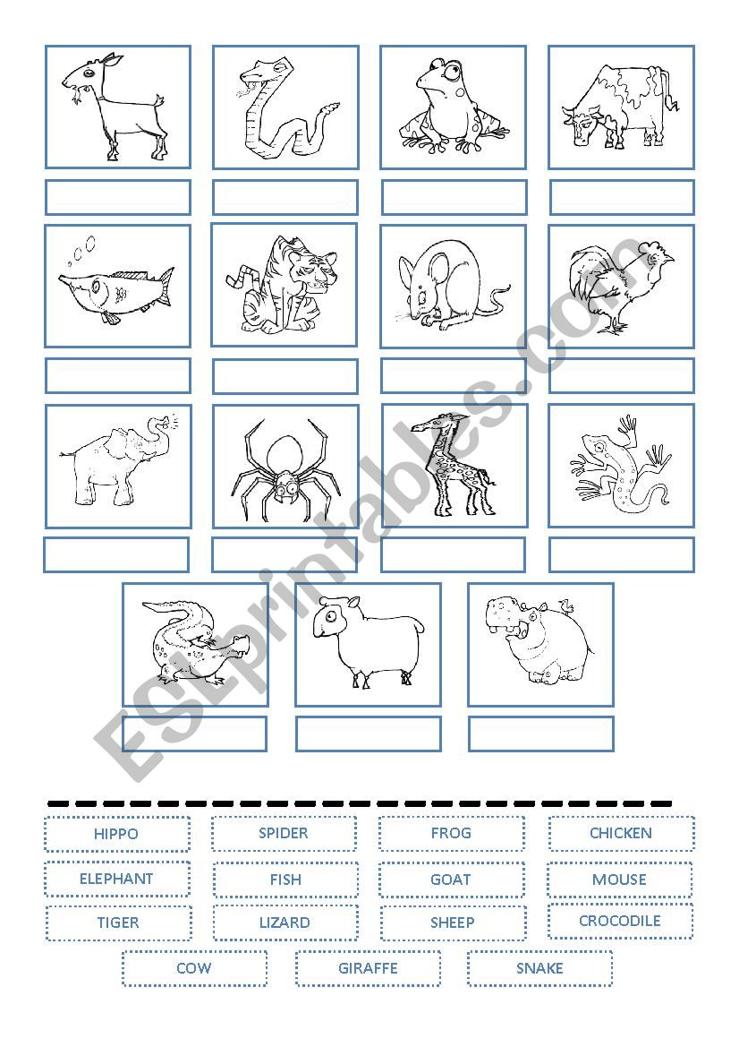 CAMBRIDGE STARTERS CUT AND PASTE ANIMAL WORKSHEET