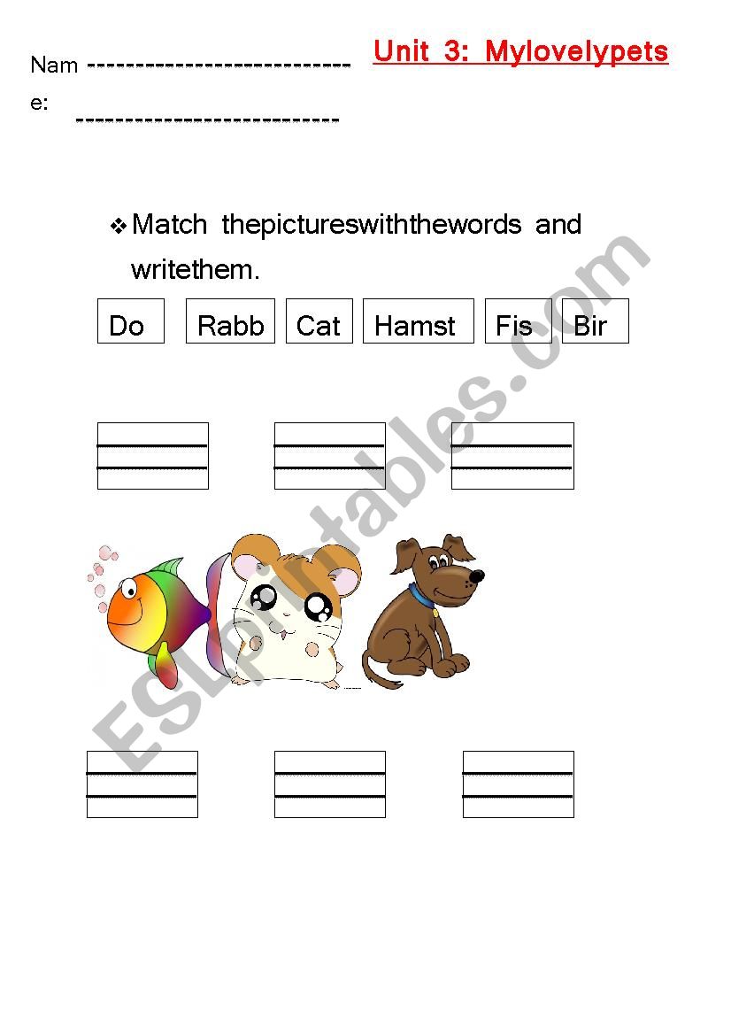 Match  worksheet