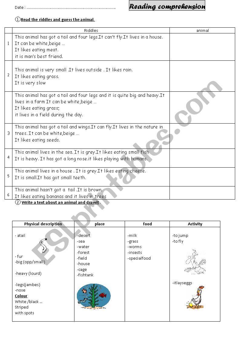 animal riddles worksheet