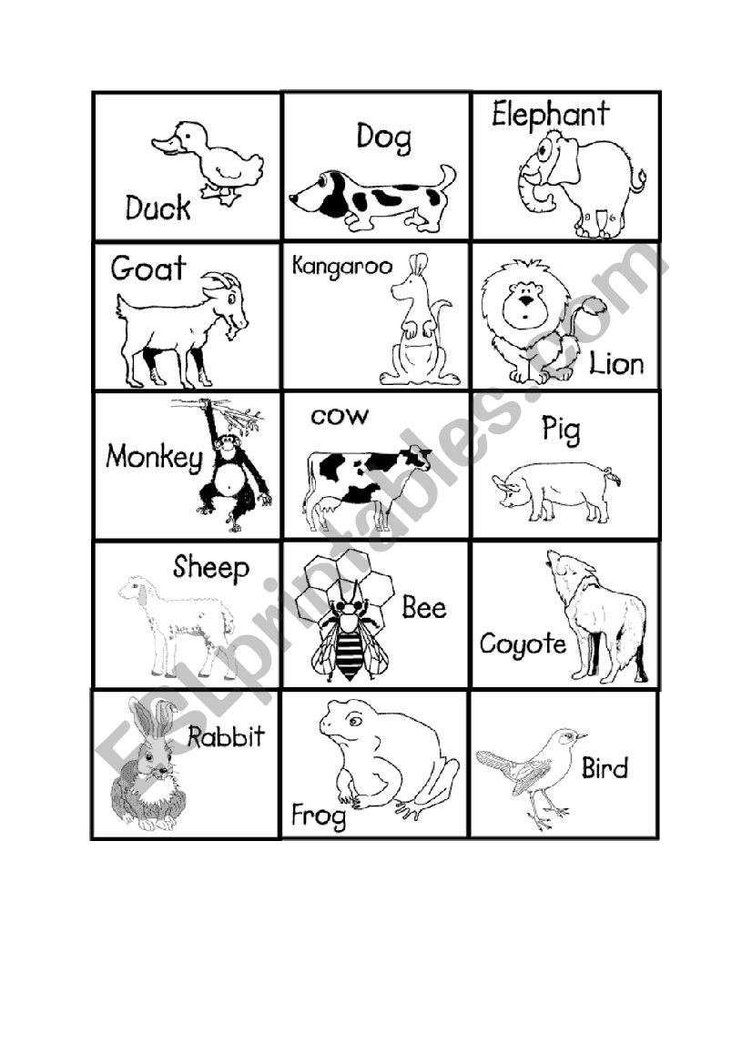 animals worksheet