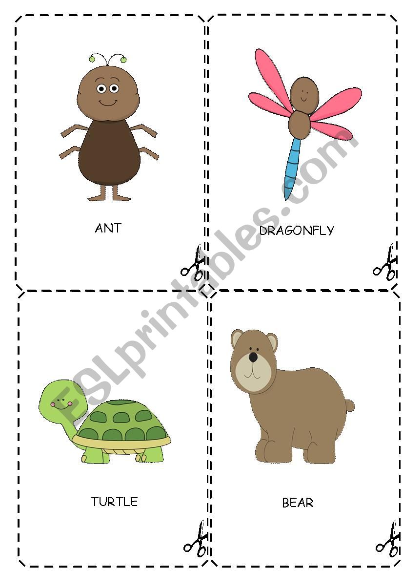 Animals worksheet