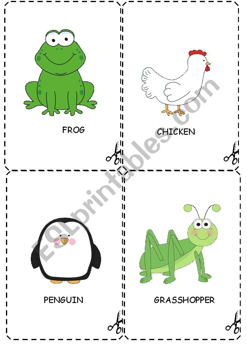 Animals worksheet