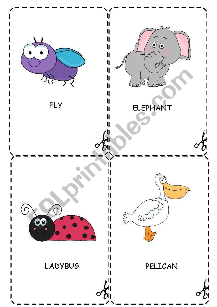 Animals worksheet