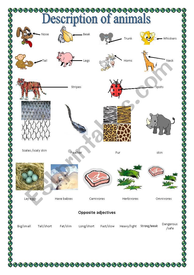 Describing animal project worksheet