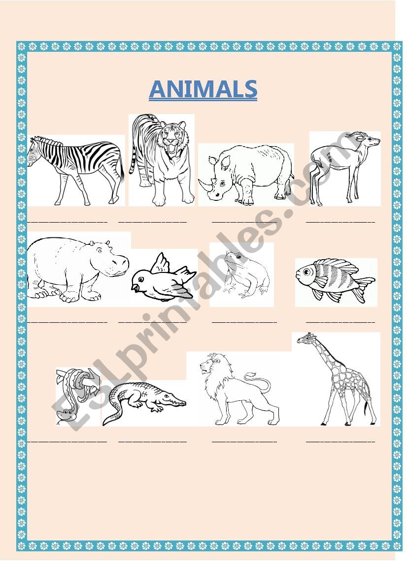 Animals - complete with the name - English adventure