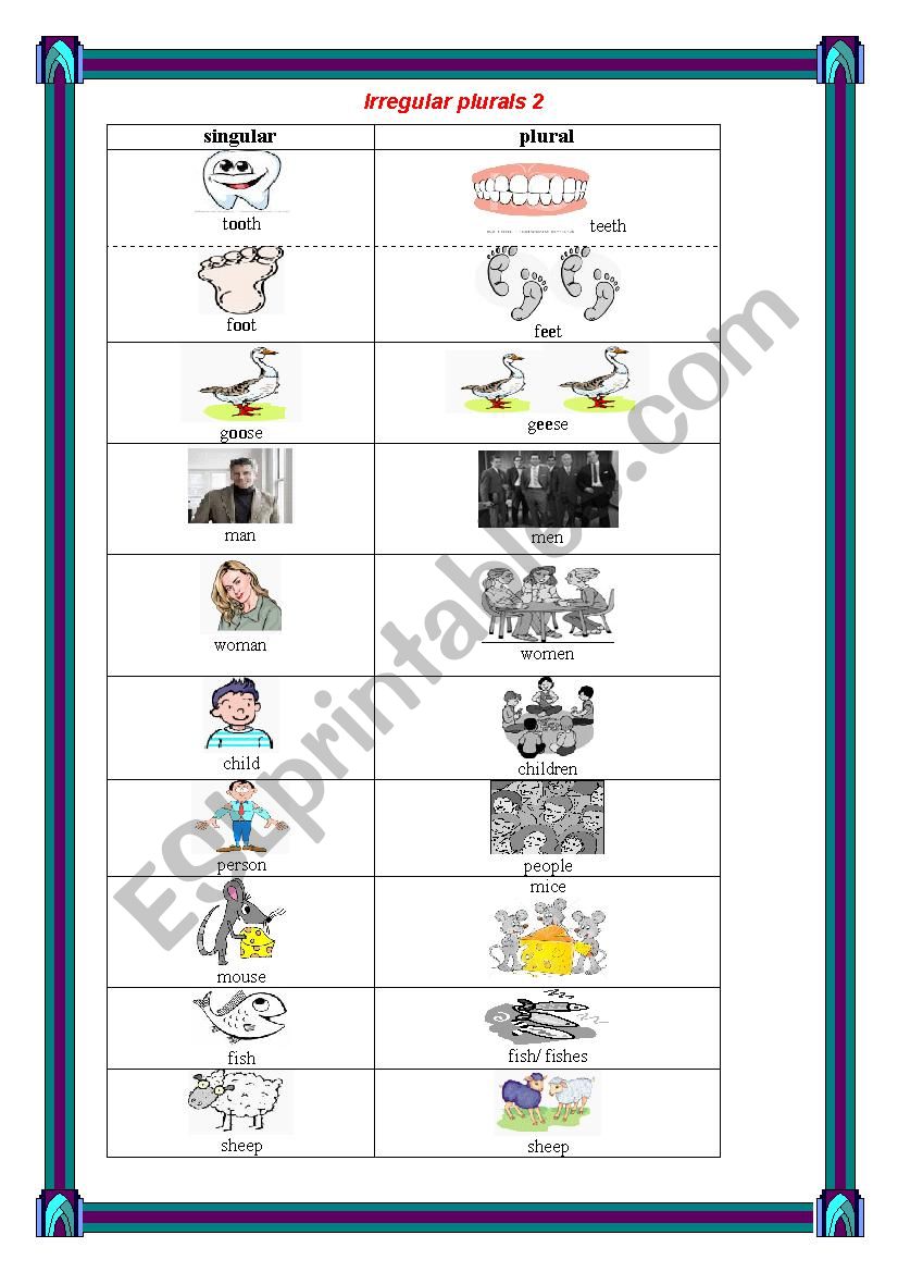 Irregular plurals worksheet