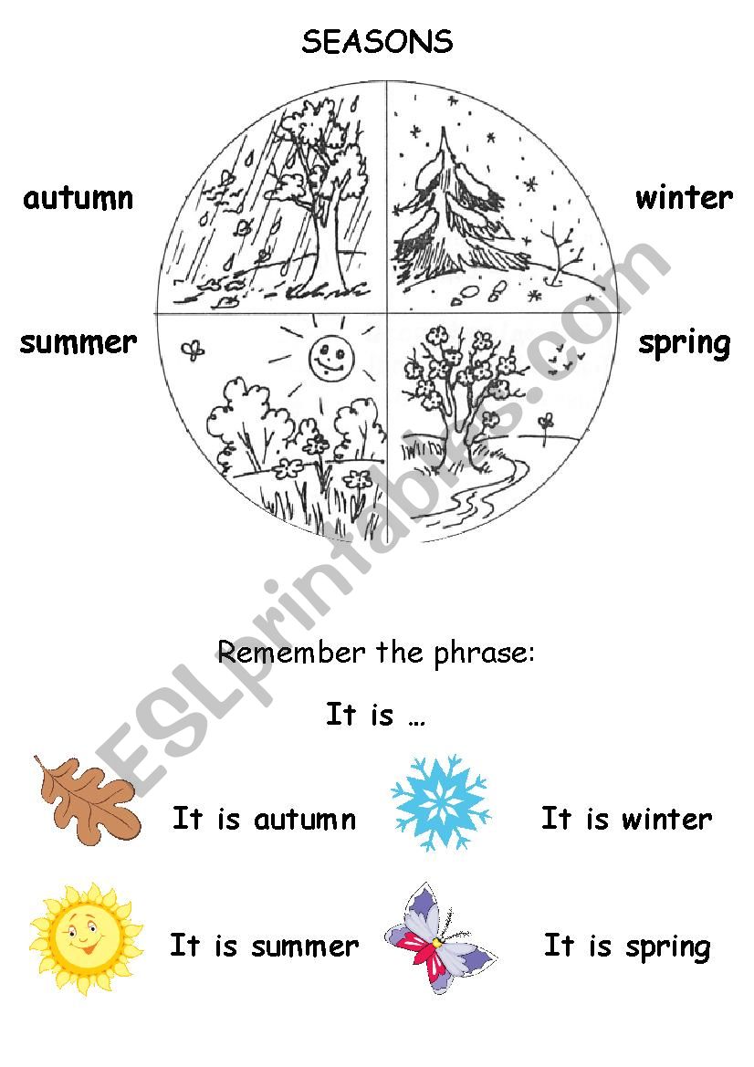 Seasons worksheet