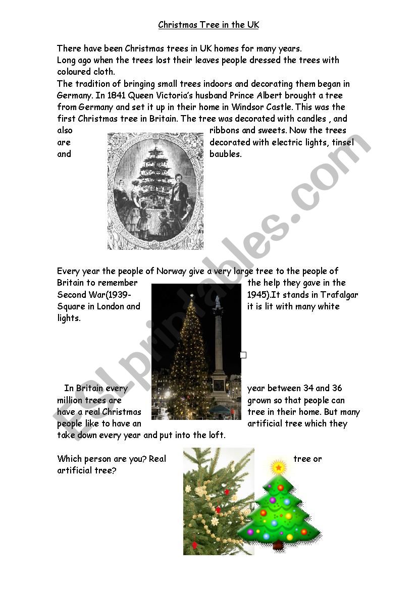 Christmas tree in the UK worksheet