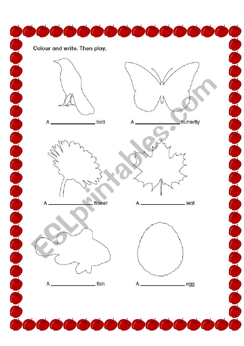 colouring activity worksheet