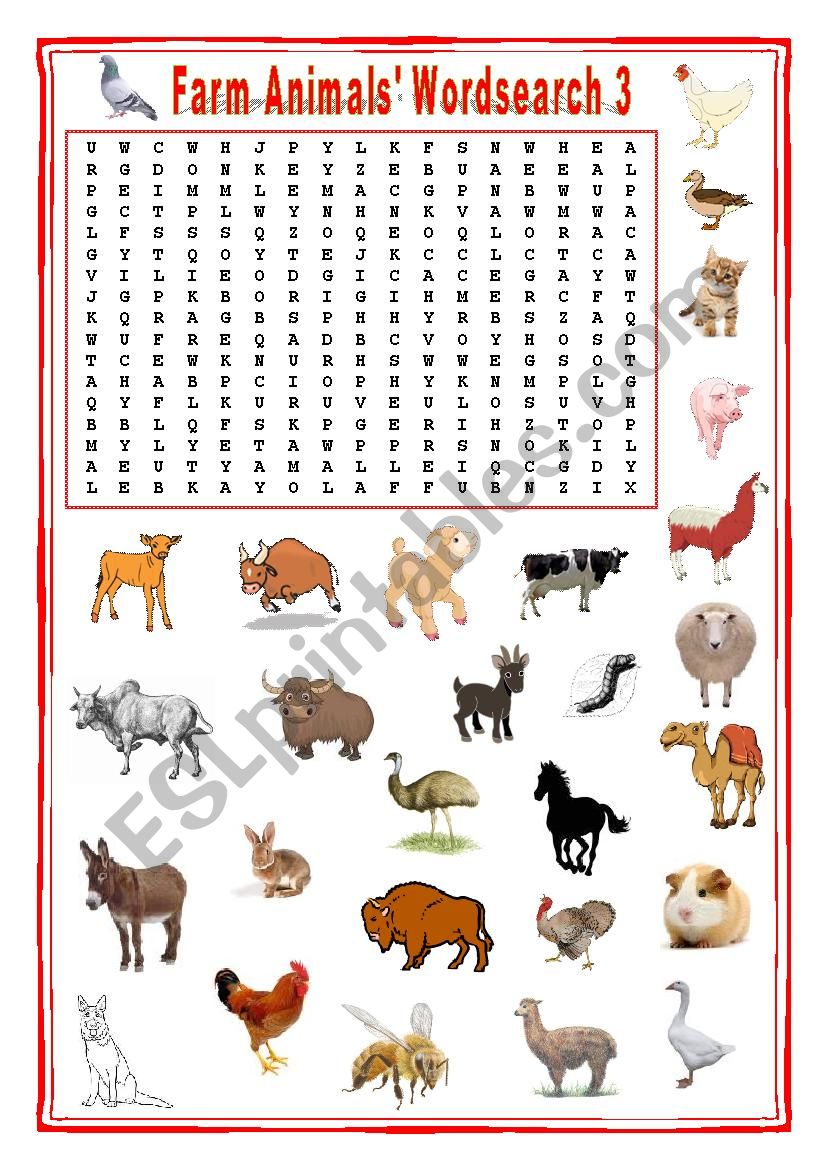 Farm animals Wordsearch 3 worksheet