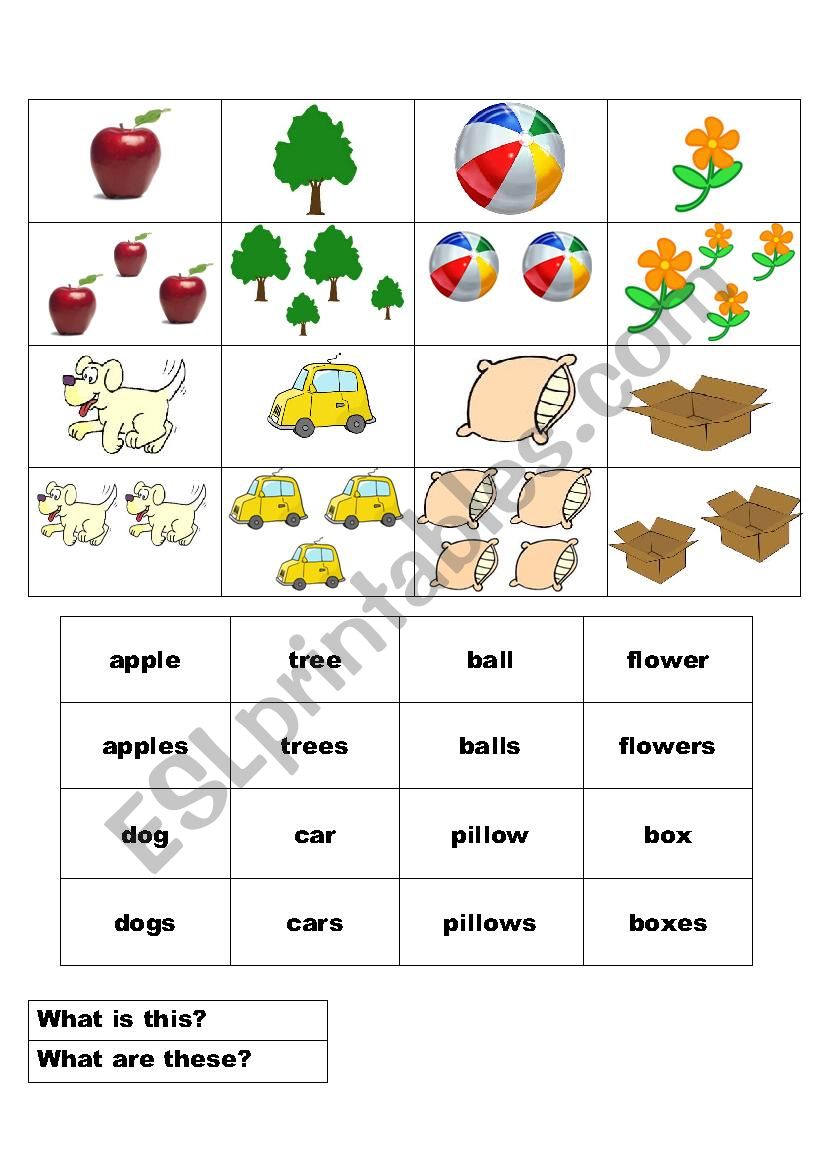 singular-and-plural-nouns-4-worksheet-for-2nd-4th-grade-lesson-planet