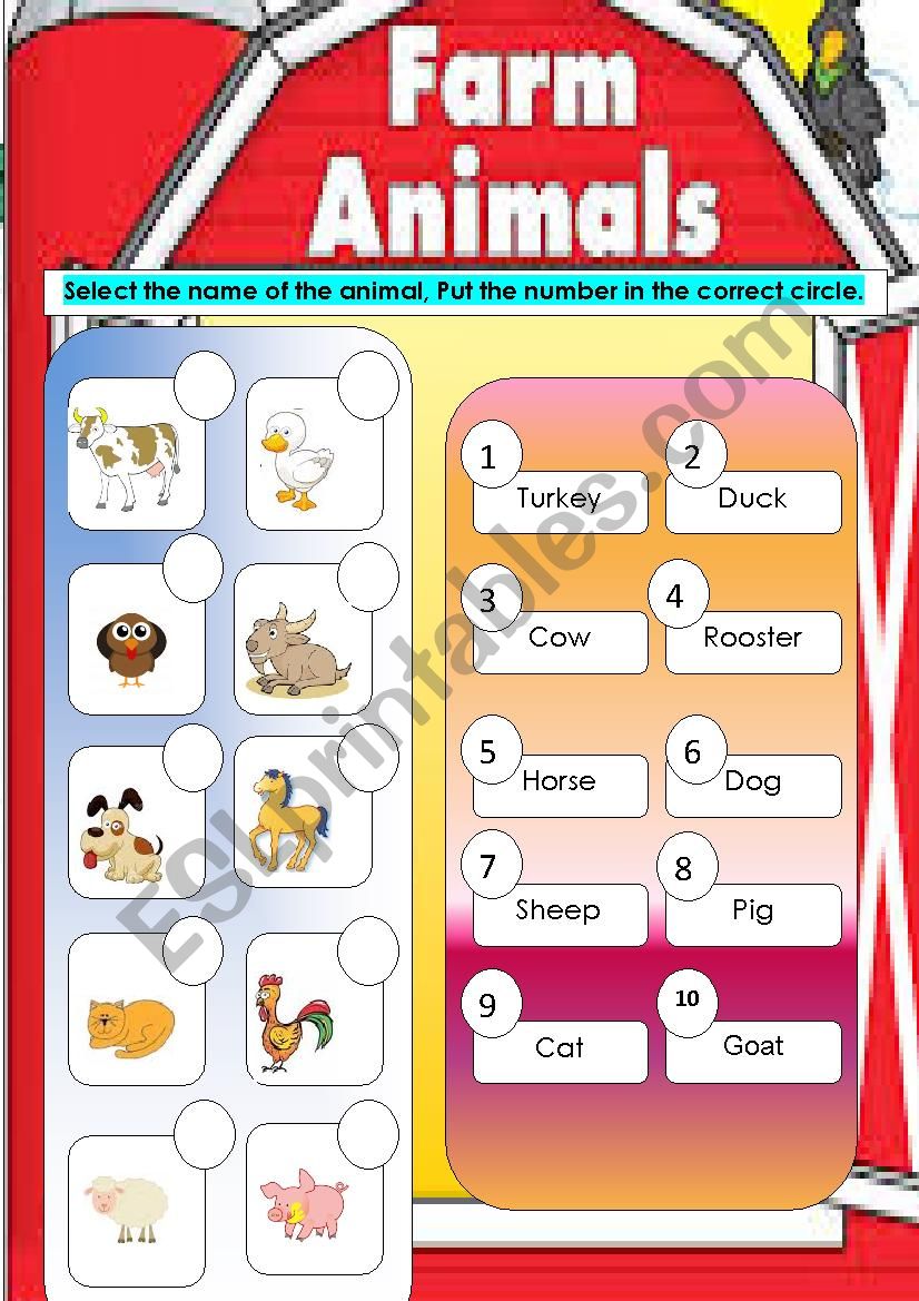 Farm animal worksheet