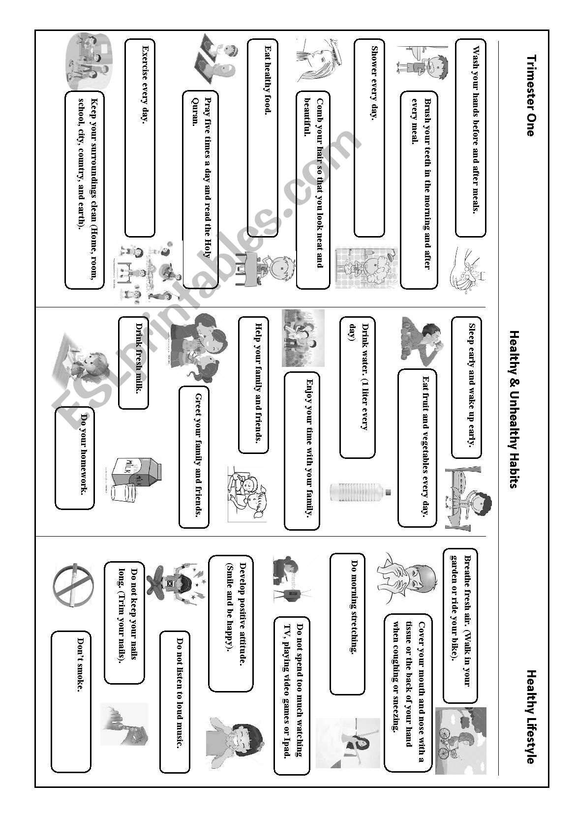 Healthy Habits worksheet