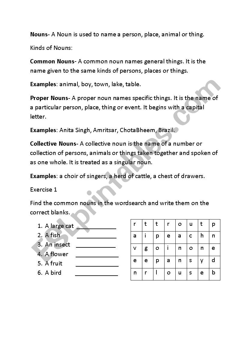 nouns worksheet