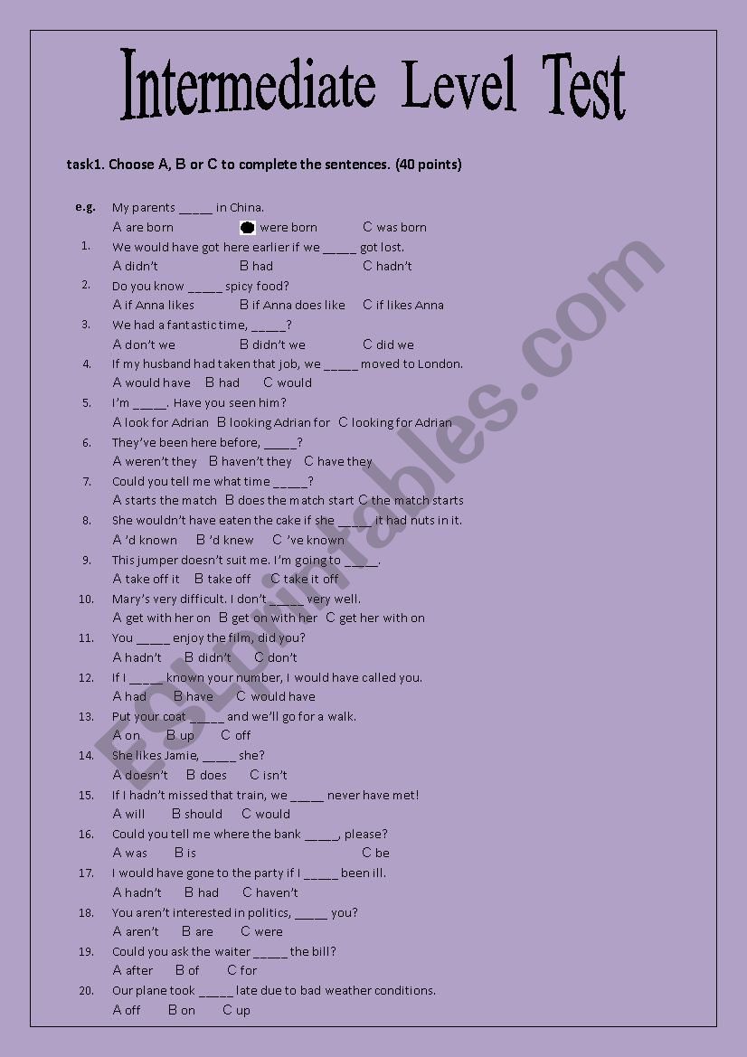 Intermediate Level Test worksheet