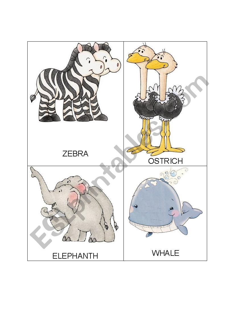 FLASH CARD ANIMALS worksheet