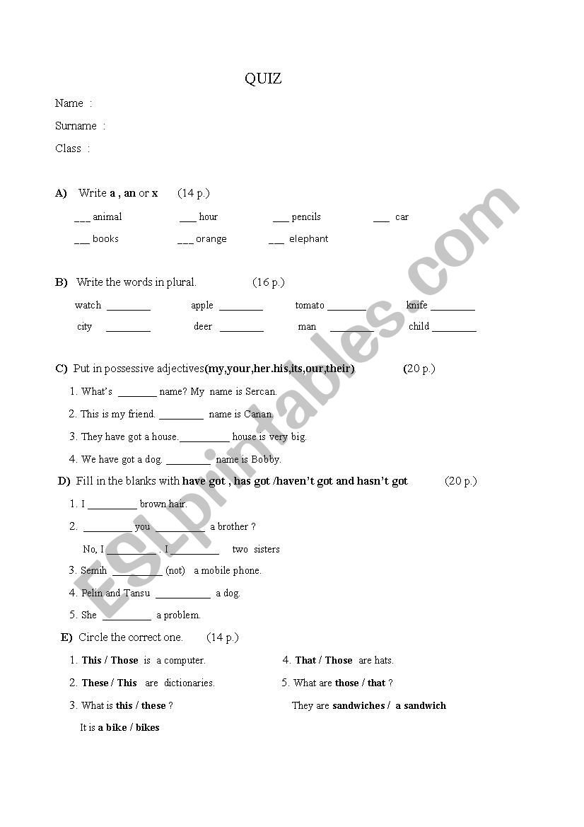 quiz worksheet