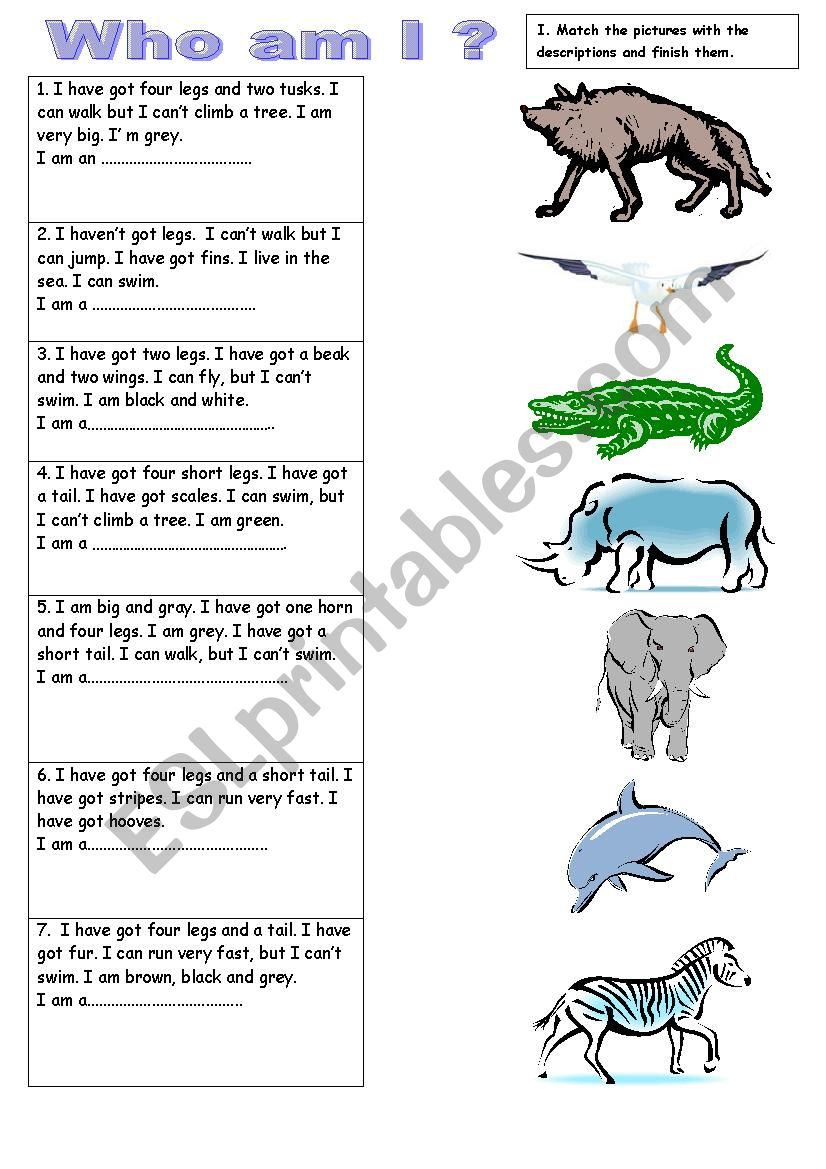 Wild animals worksheet