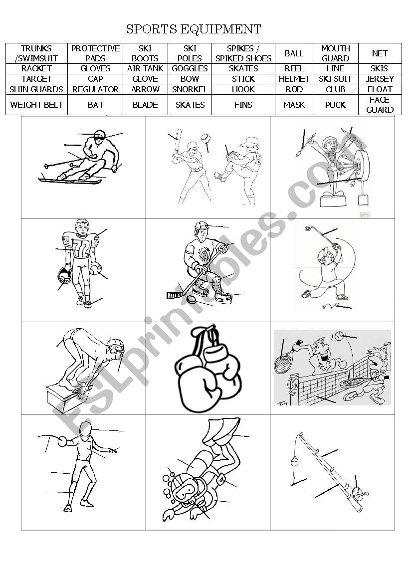 Sports equipment worksheet