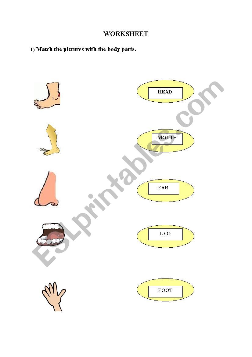 body parts activity paper worksheet