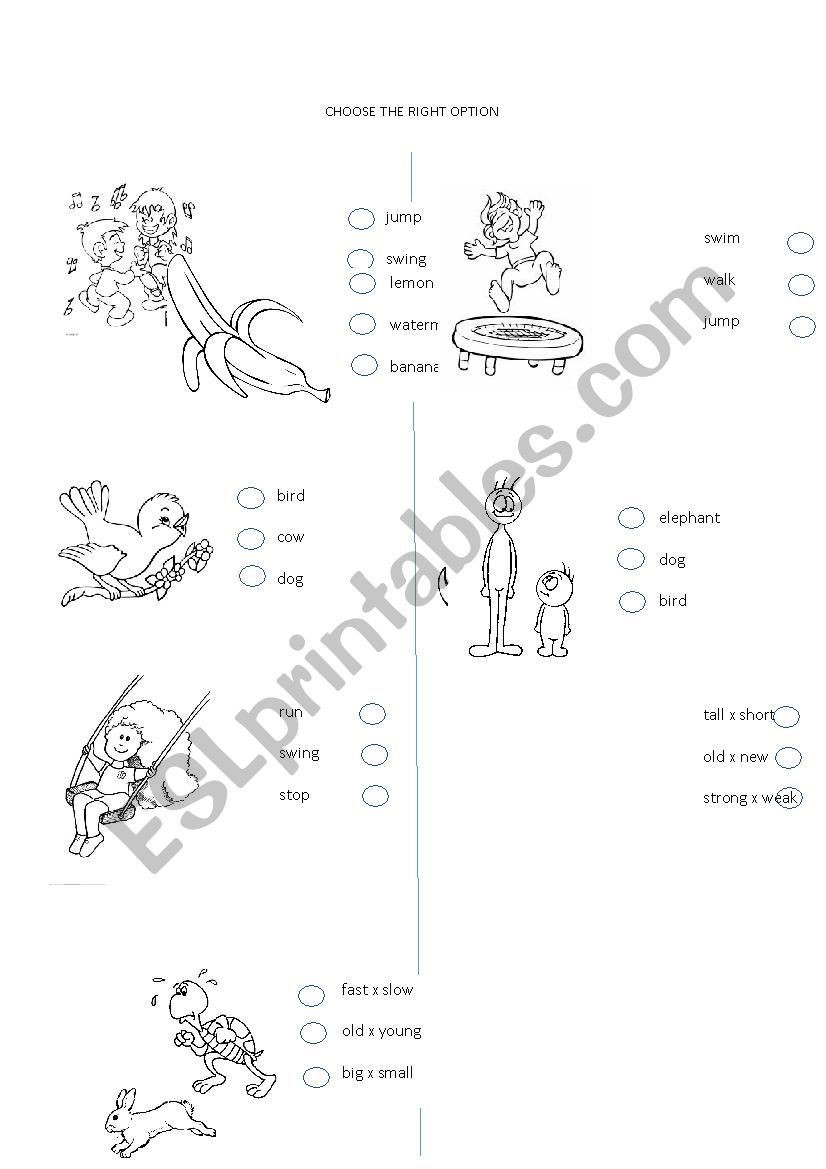 Vocabulary with pictures ( fruits, adjectives, animals, verbs) 2 Vocabulary with pictures ( fruits, adjectives, animals, verbs) 2