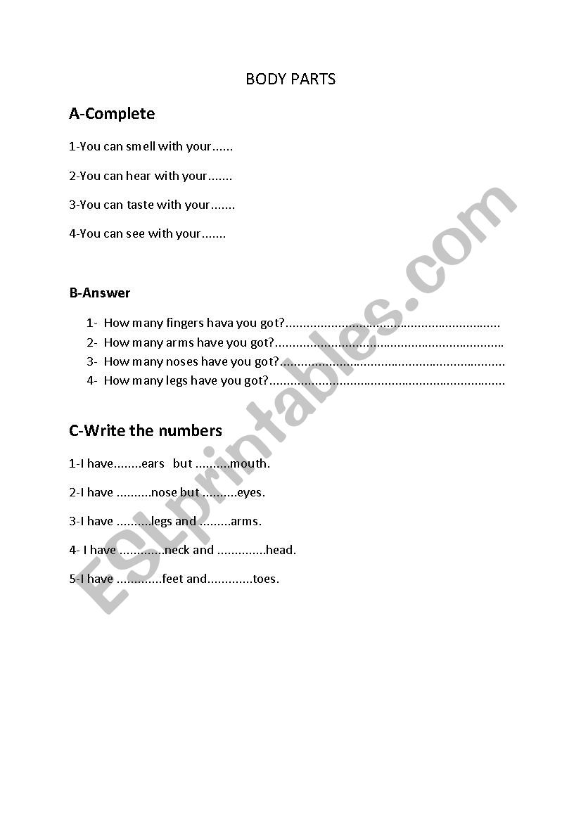 body parts worksheet