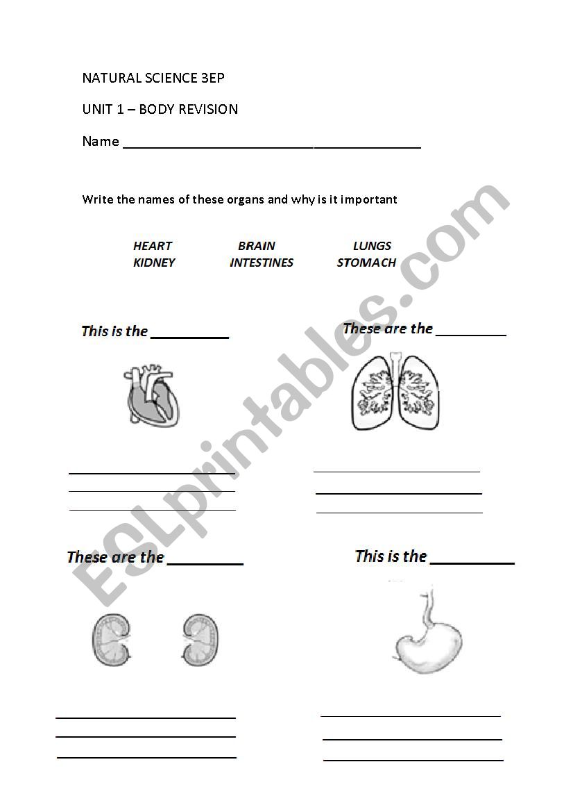 Organs worksheet