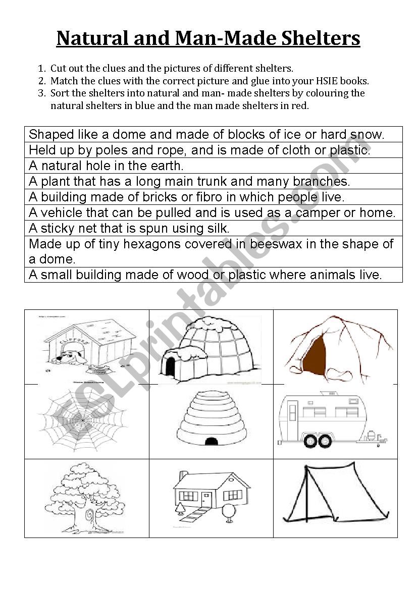 Shelter match worksheet