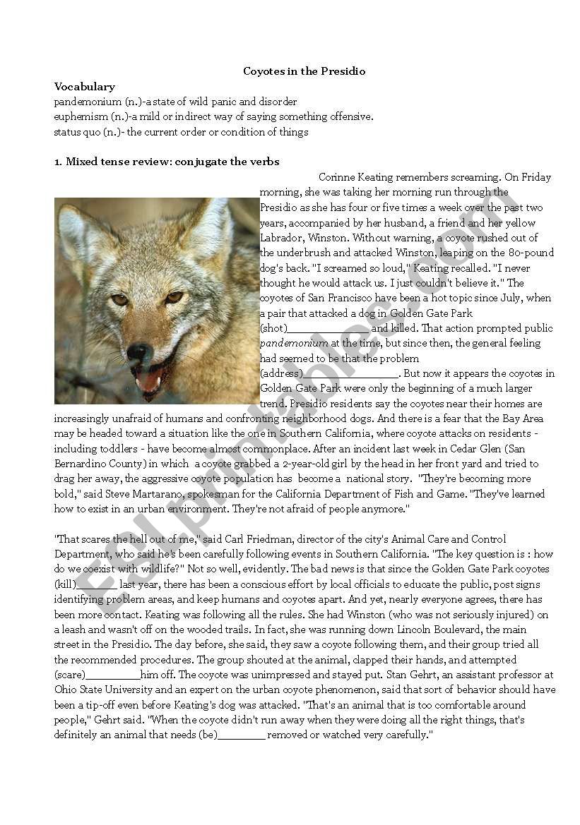 Coyotes in the Presidio worksheet