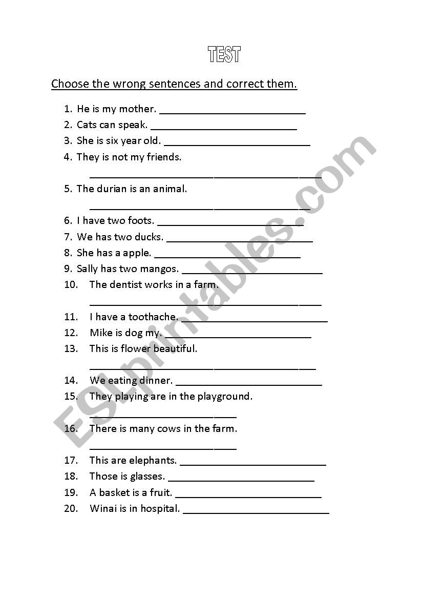 vocabulary and grammar test worksheet