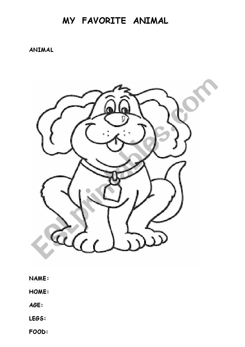 My favorite Animal  worksheet