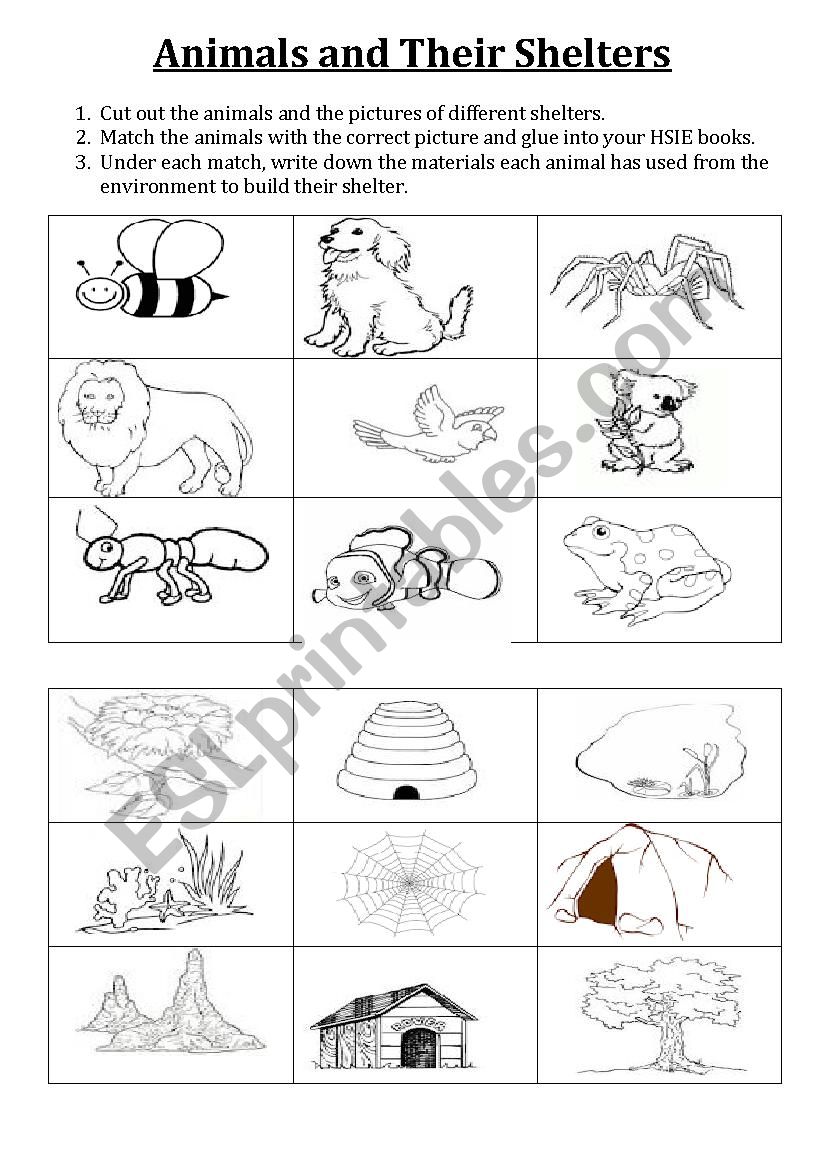Animals and Their Shelters - ESL worksheet by alyssa_ohno