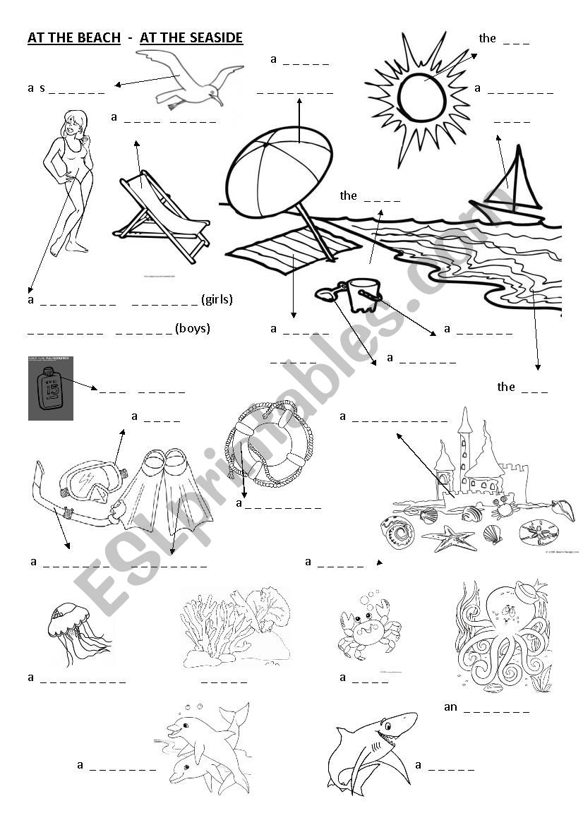 Holiday at the beach worksheet