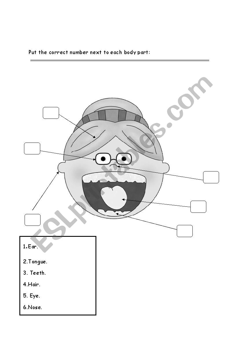 whats in the face worksheet
