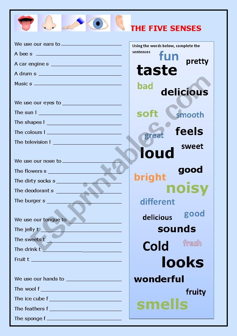 The Five Senses Worksheet worksheet