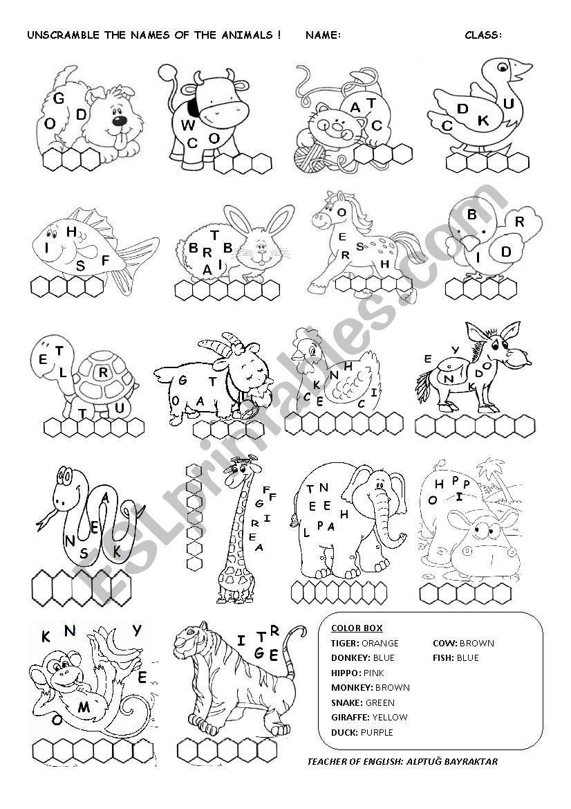 ANIMALS WORKSHEET! worksheet