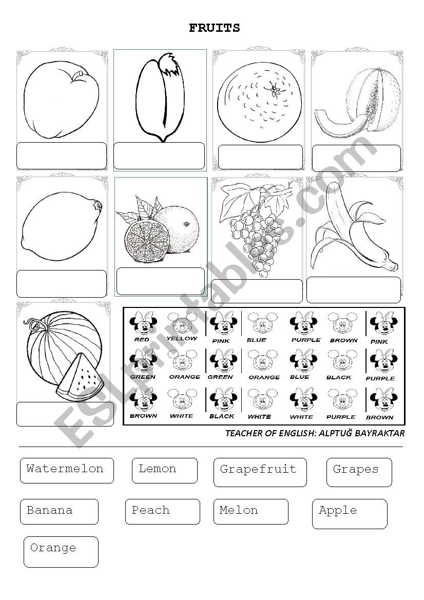 FRUITS WORKSHEET! worksheet