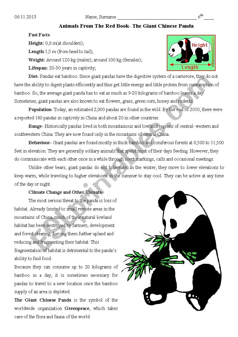 The Giant Chinese Panda worksheet