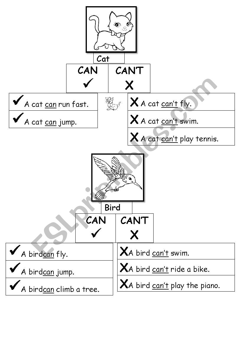 Can / Cant - informational charts