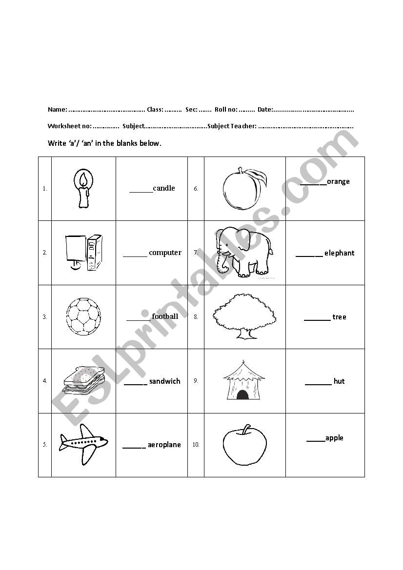 Articles- a or an worksheet